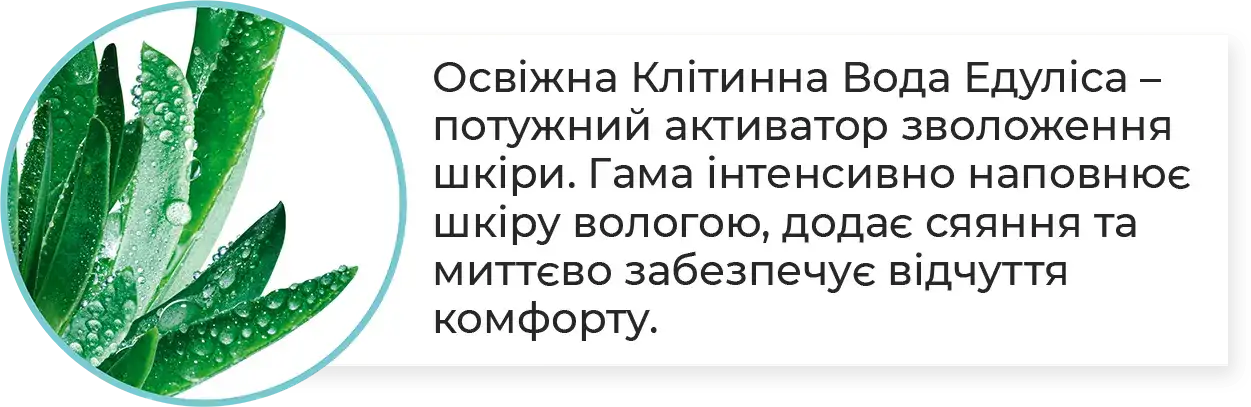 Освіжна Клітинна Вода Едуліса – потужний активатор зволоження шкіри. Гама інтенсивно наповнює шкіру вологою, додає сяяння та миттєво забезпечує відчуття комфорту.
